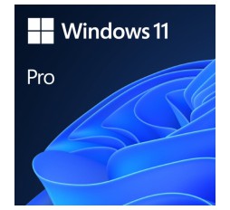 Slika izdelka: Microsoft Windows Pro 11 DSP/OEM angleški, DVD