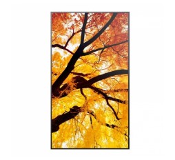 Slika izdelka: SHARP Multisync M502 125,7cm (50") 24/7 UHD VA zvočniki informacijski monitor