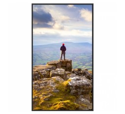 Slika izdelka: SHARP PN-E329 80cm (31,5") 1920x1080 HDMI/USB-C informacijski monitor